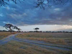 samburu national park