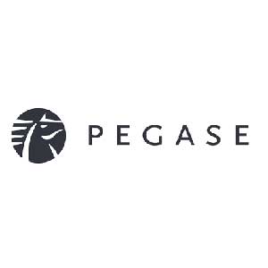 pegase